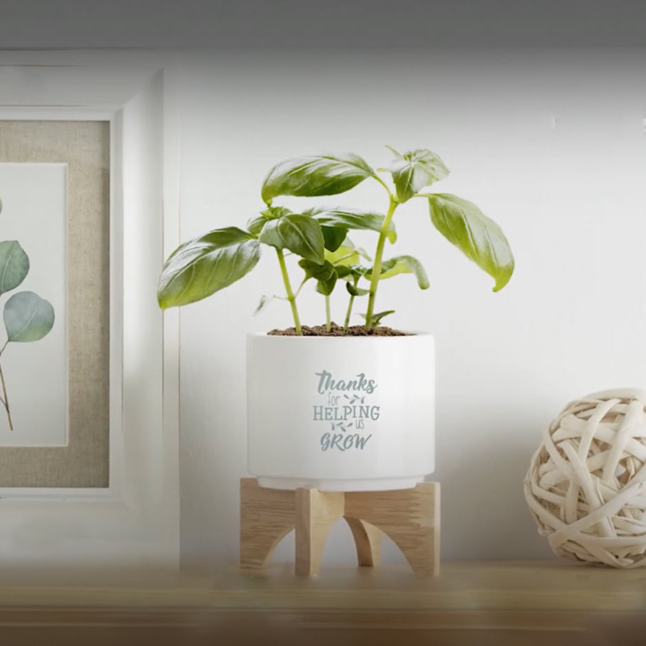 Ceramic and Bamboo Planter Kit