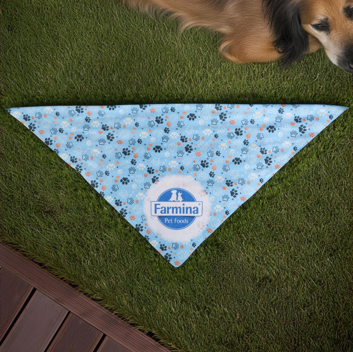 Our recycled Poly (rPET) dog bandana showing full-color customization and folded in half.