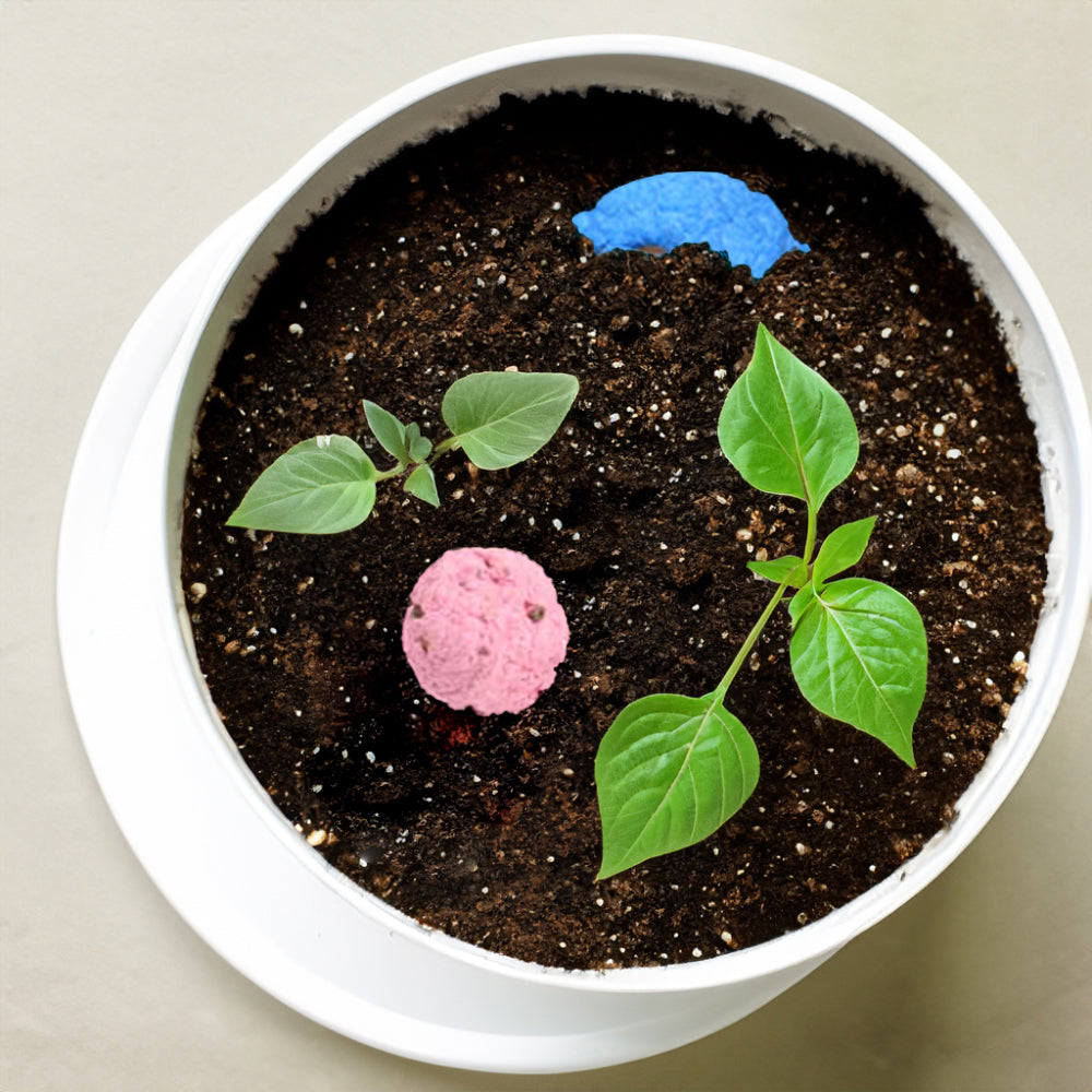 four hand-crafted seed bombs made from recycled paper.