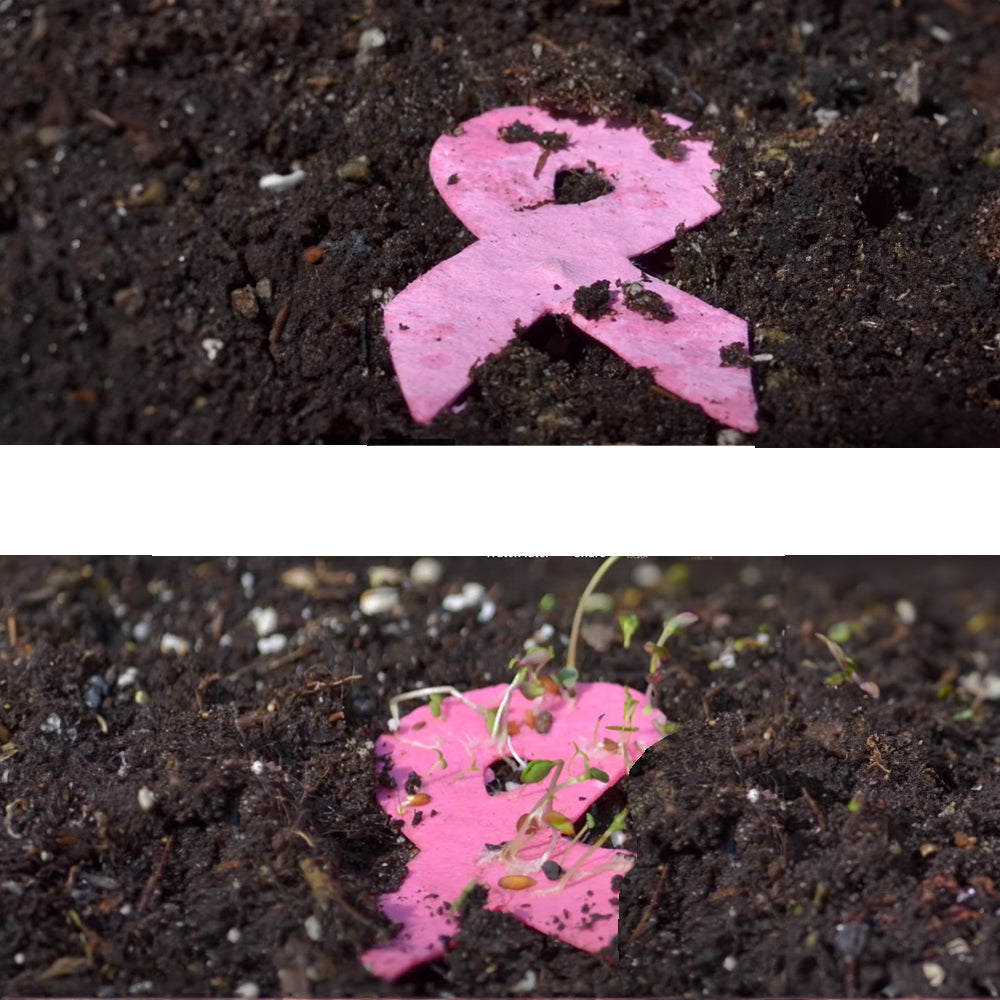 Pocket Garden Cardstock - Breast Cancer Awareness, how to plant.