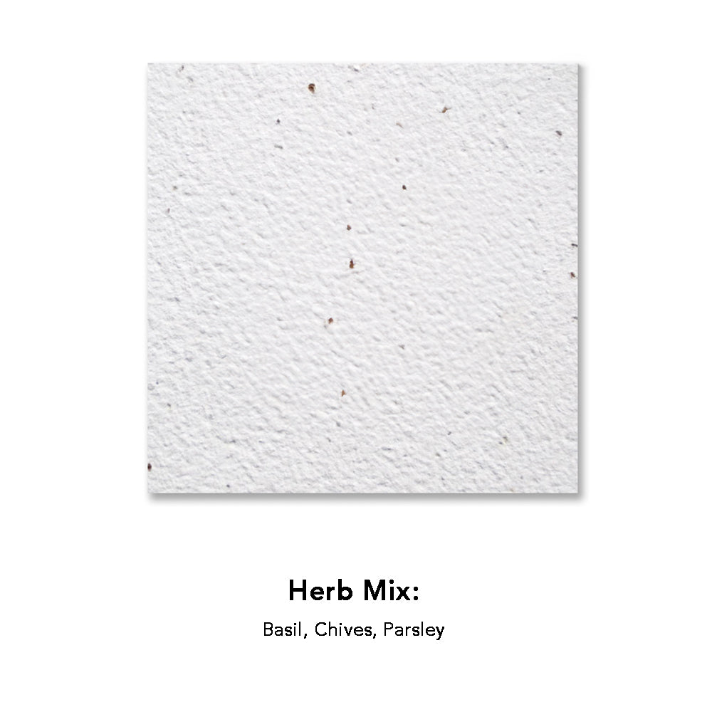 Customizable Square Seeded Paper Coaster - Made in the USA- herbs