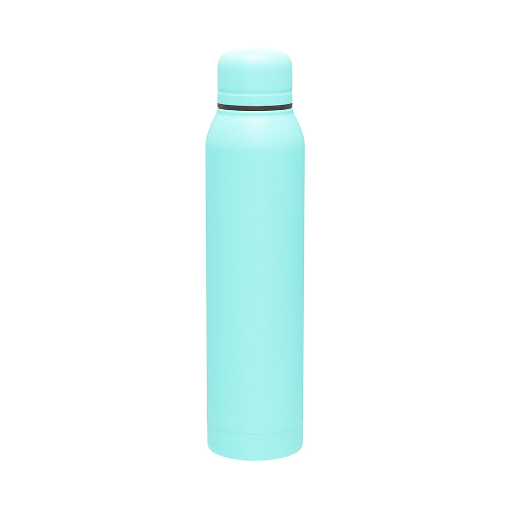 17 oz Insulated Stainless Steel Silo Bottle in mint