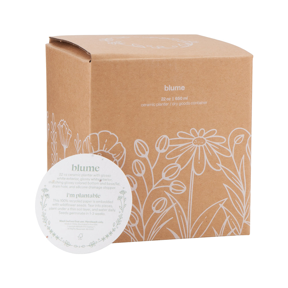 22 oz Blume Ceramic Planter