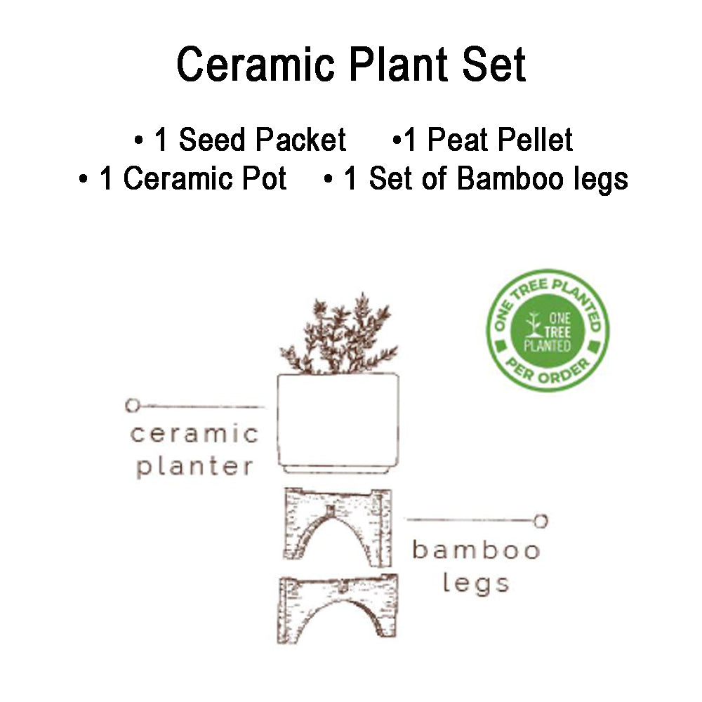 Ceramic and Bamboo Planter Kit