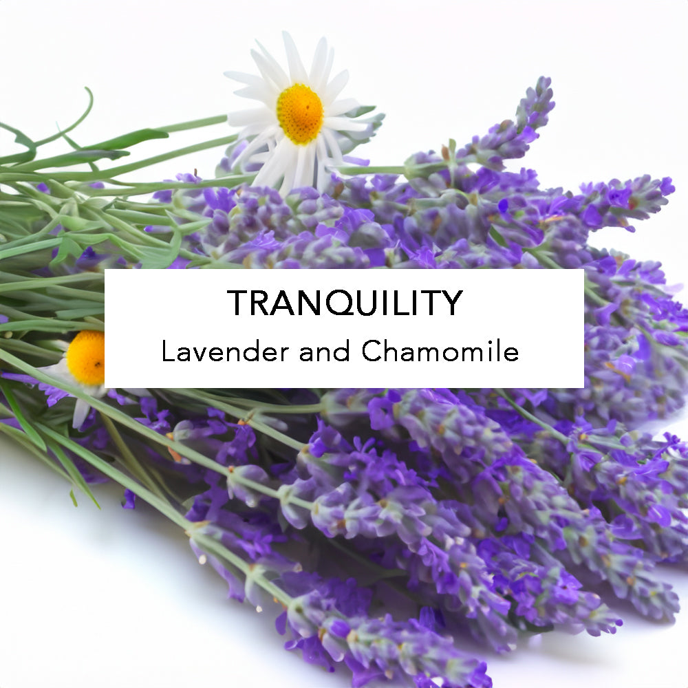Essential Oil In Glass Dropper Bottle. Tranquility: lavender and chamomile.