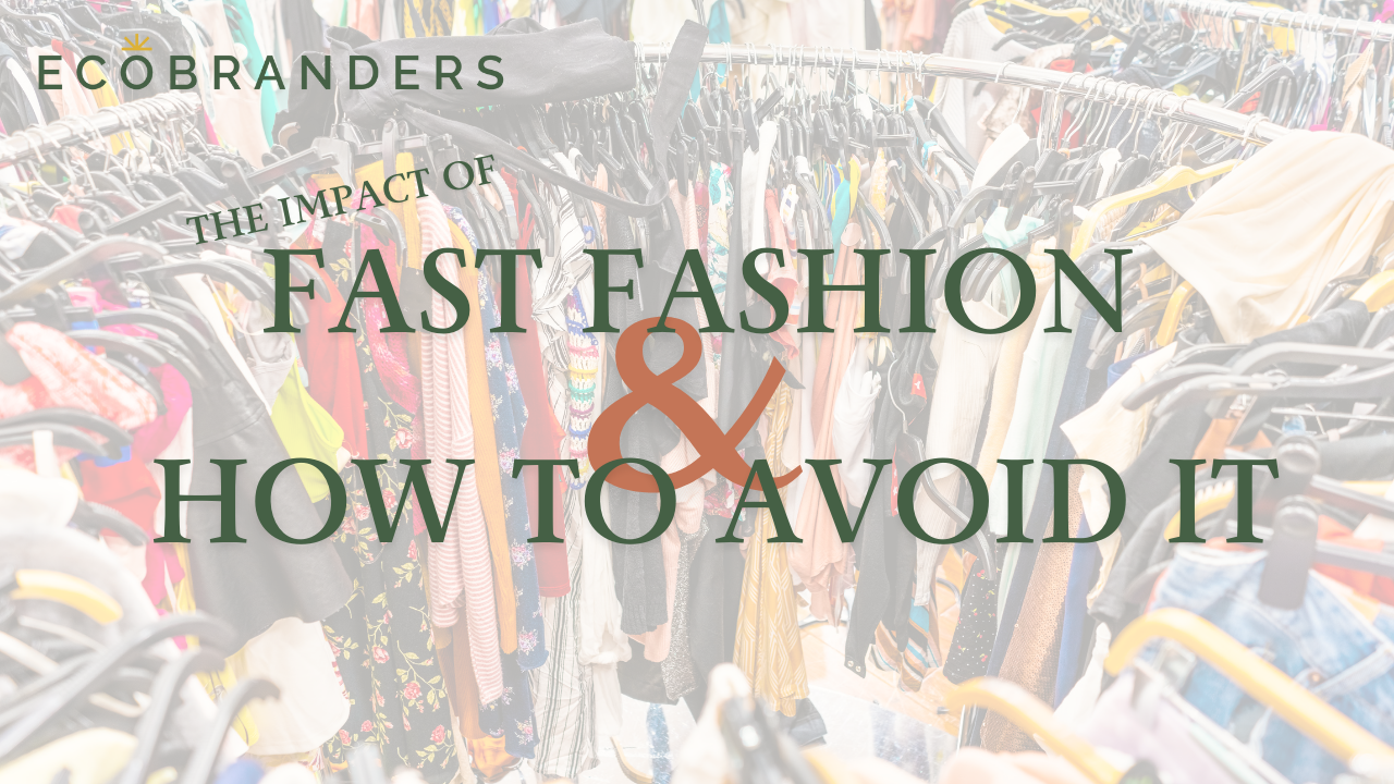 The Impact of Fast Fashion and How to Avoid It