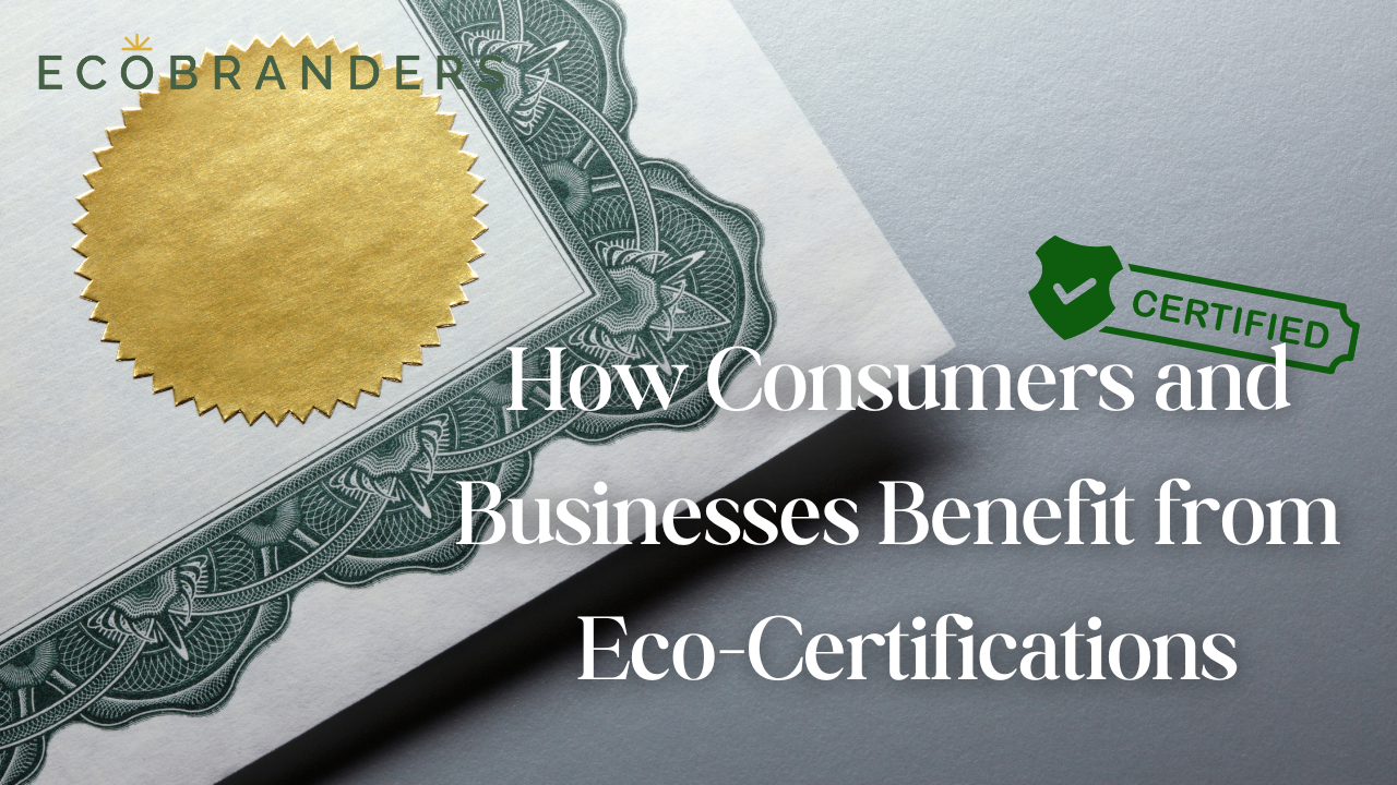 How Consumers and Businesses Benefit from Eco-Certifications