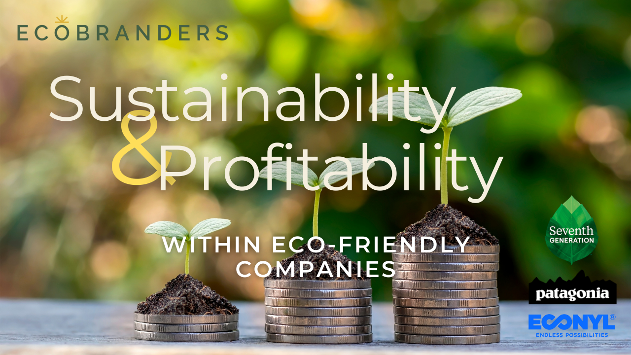 Sustainability and Profitability within Eco-Friendly Companies