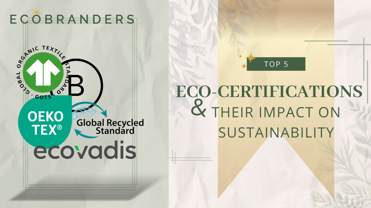 Top 5 Eco-Certifications and Their Impact on Sustainability