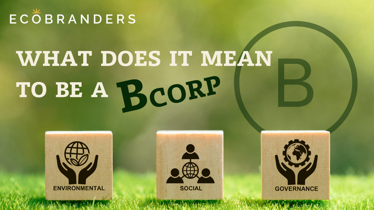 What does it mean to be a B Corp?