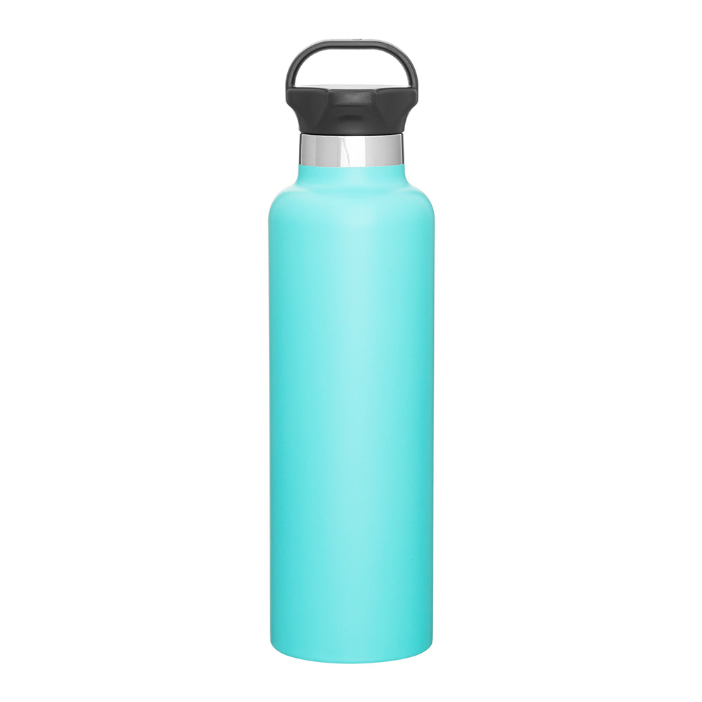 Customizable 24 oz Insulated Stainless Steel Ascent Bottle in mint