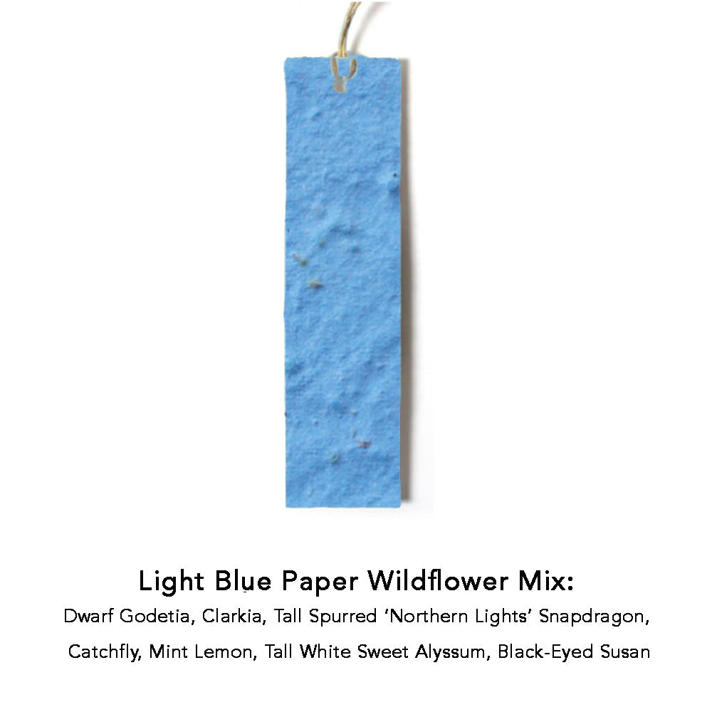 Color Seed Paper Hang Tag in blue