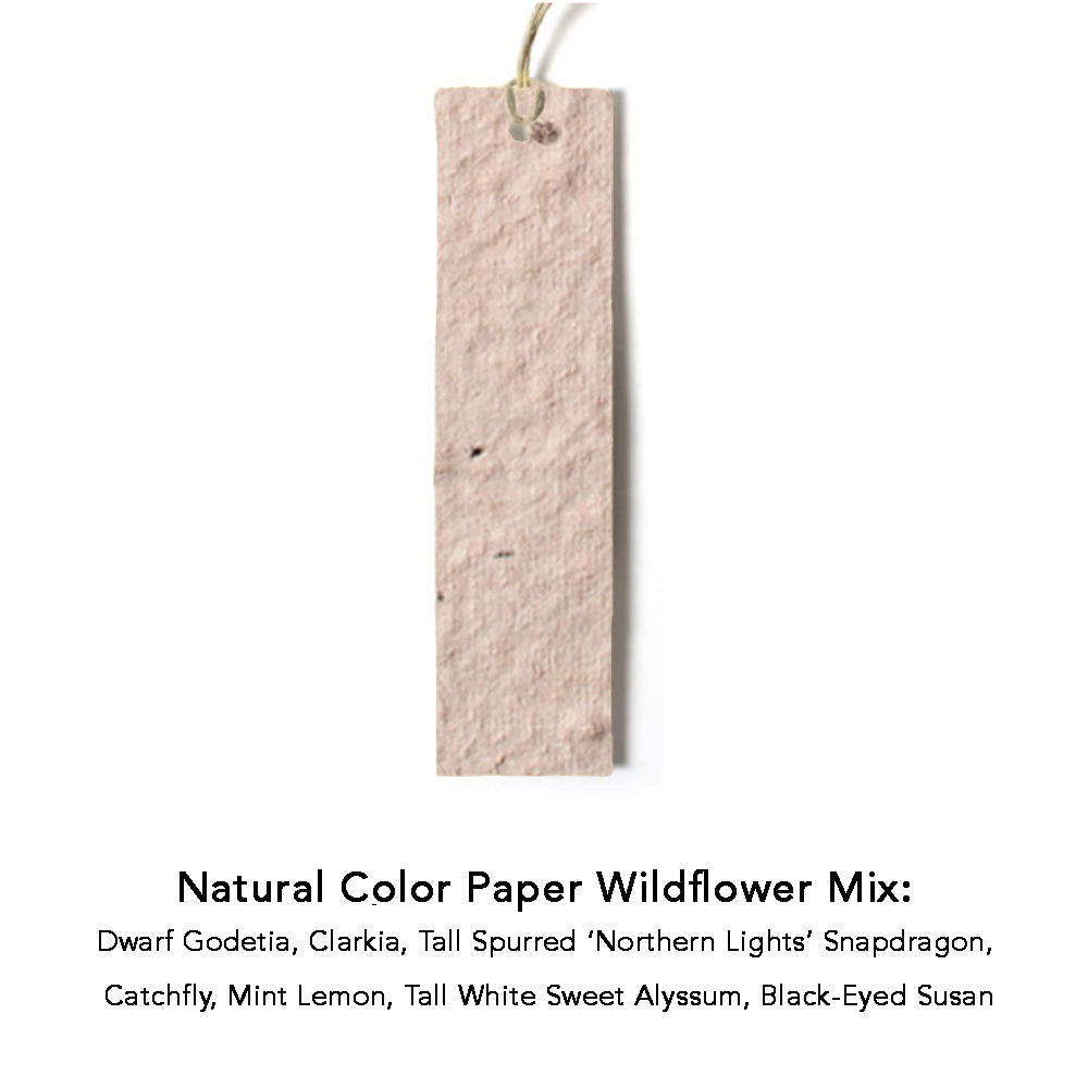 Color Seed Paper Hang Tag in natural