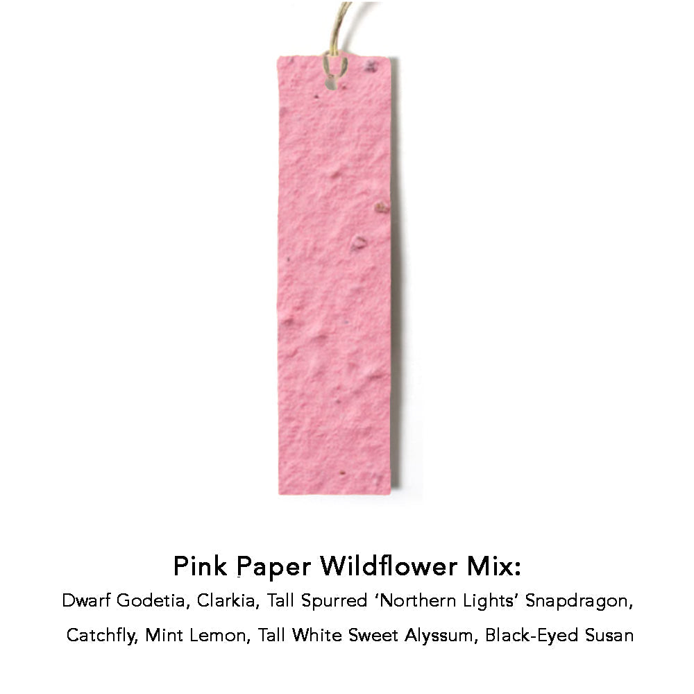 Color Seed Paper Hang Tag in pink.