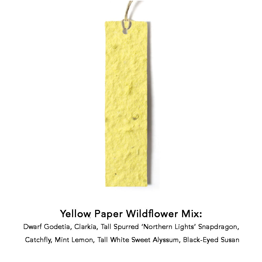 Color Seed Paper Hang Tag in yellow