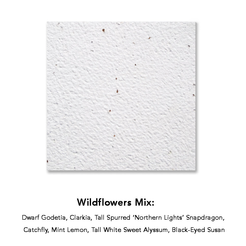 Customizable Square Seeded Paper Coaster - Made in the USA- wildflower.