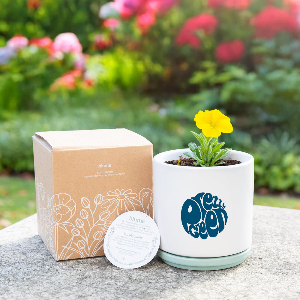 22 oz Blume Ceramic Planter