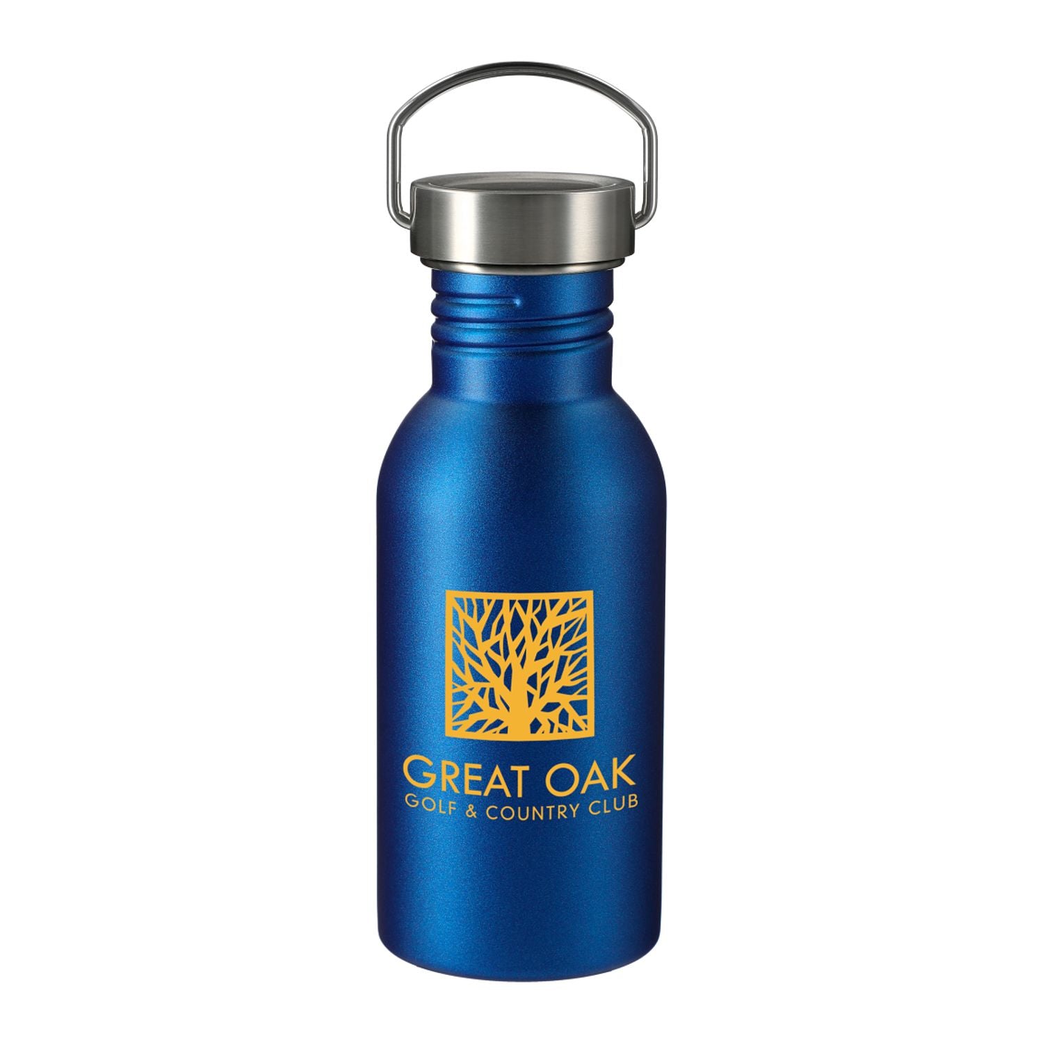 Thor 20 oz Stainless Steel Single-Walled Sports Bottle in blue