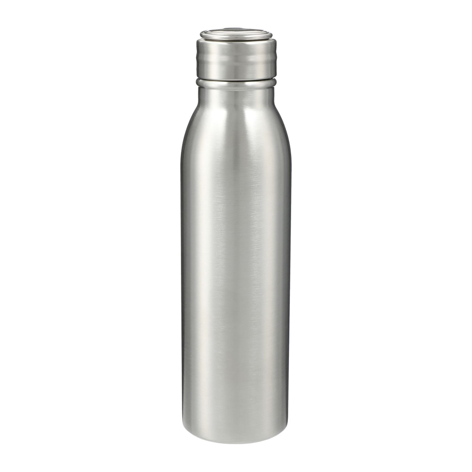 Vida 24oz Stainless Steel Single-Walled Bottle in silver