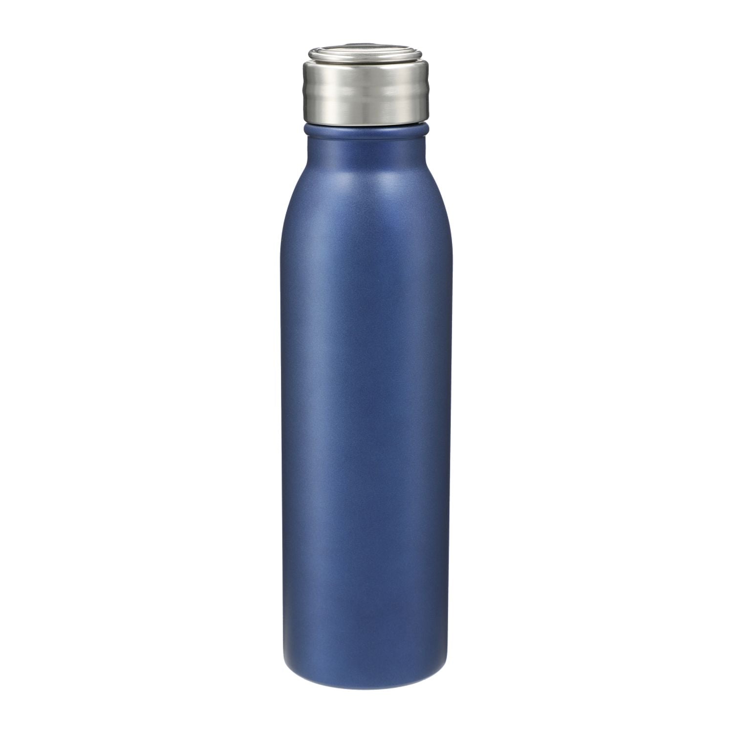 Vida 24oz Stainless Steel Single-Walled Bottle in blue