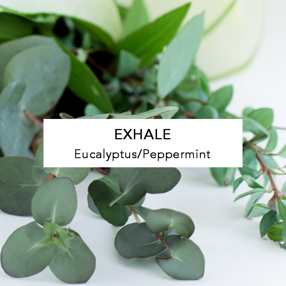 Essential Oil In Glass Dropper Bottle exhale eucalyptus and peppermint. 