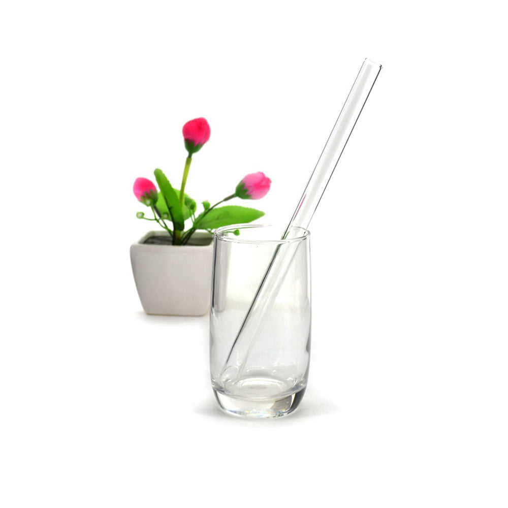 Reusable Glass Straw Kit in glass.