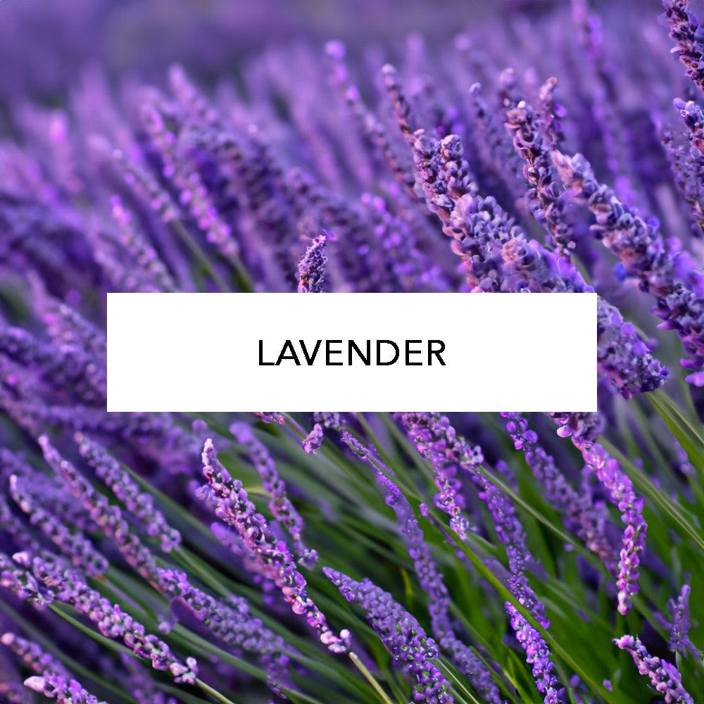 Essential Oil In Glass Dropper Bottle, lavender.